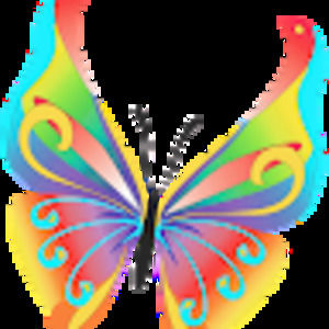 Meet your Posher, Beyouthfully